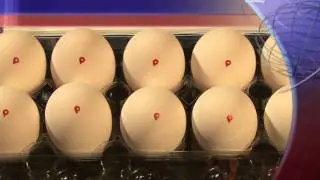 Paracol - The Heart Healthy Egg