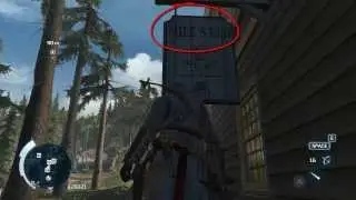Assassin's Creed 3 Cool Easter Egg