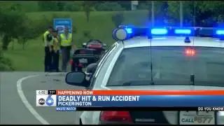 Police Teaming up With State Investigators to Find Fatal Hit-Skip Driver