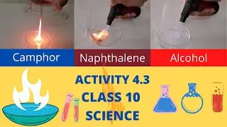 ACTIVITY 4.3 ll CLASS 10 ll SCIENCE ll CHAPTER 4 ll NCERT ll ANKITA MAM
