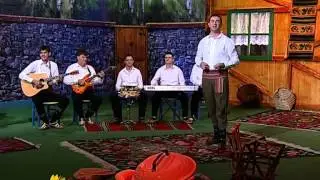 ZORAN STOJIC - RUZO MOJA JOS NE MIRISANA