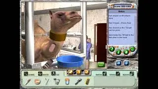 Zoo Vet - Case 30 END (Jeffrey, The Camel)