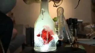 Heart in a Bottle BHO rig, underlit function video