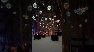 Polar Pub in the Forest, NH USA🇺🇸 #ritishpasala #teluguusa #usateluguvlogs #snowpub