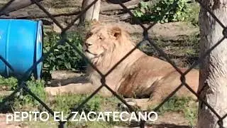 DURANGO MEXICO/ EL SOLOGiCO