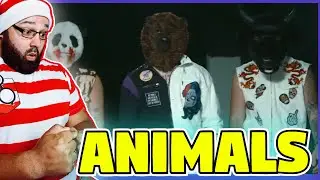 THE HARA - ANIMALS (REACTION)