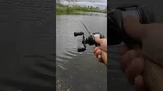 Как ловить форель Fluke