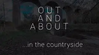 The Acest Sticks - Out and About: by the river