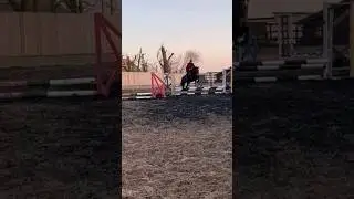 Her first time jumping a full course outside 🤩