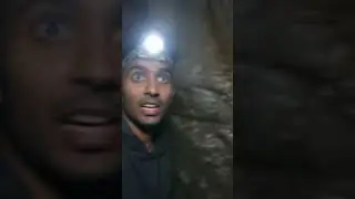 Real Hanuman? This Clip Has Everyone Talking #shorts