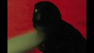 Tyrannosaurus rex