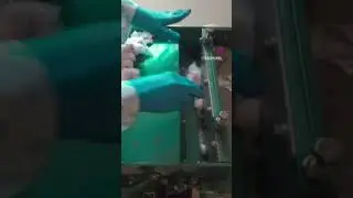cotton Ginning