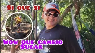 WOW  SUGAR ESTA DANDO🥰 UN GRAN CAMBIO Y ESTA ASIENDO UN CAMBIO 