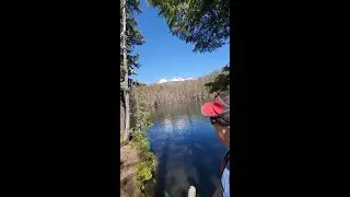 Corrigan lake trail, #goldenretriever, #hiking,#labrador