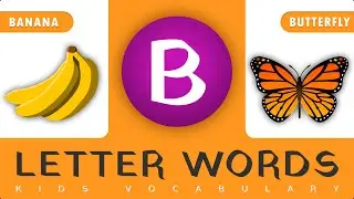 Bouncing into Learning | Kids Vocabulary - B Words Decoded | @littleytv