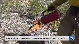 Prescribed burning to begin in national forest