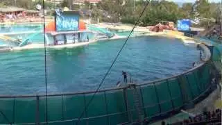 Killer whale show, Marineland, Antibes, France