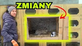 Nowe klatki i zmiany w hodowli królików