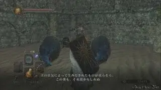 ダークソウル 2 （Dark Souls 2） - Part 31 虚ろの影の森（虚ろの遺跡）