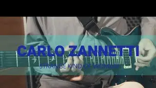 Carlo Zannetti plays Deep Purple | Strange Kind Of Woman (Instrumental Cover)