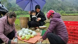 17 year old single mother: picking guavas to sell - big market day - making a luffa trellis