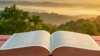 Bible 