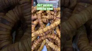0308 3996710 Agha Jaan Muslim Dry Fruits | Injeer Rs 2000/kg only @RabiyaKhan98
