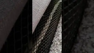 Block pets from going under your bed (under $10) in .30 min without lifting or moving the bed!!