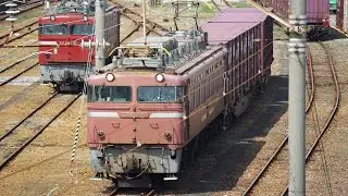 日豊本線・延岡貨物 EF81-400番台・延岡駅､南延岡駅