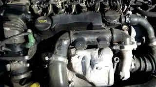 zgomot defazor 3 ford 2