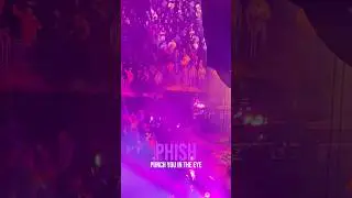 #phish #livemusic #jamband #concert