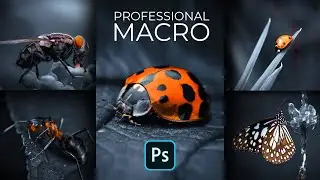 Professionally Edit Macro Photos | Camera Raw Filter | Color Grading | Photoshop Tutorial