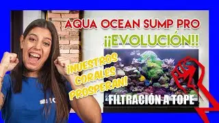 ACUARIO MARINO de 300L - evolución de los peces y corales 💯🐠