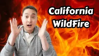Environmental Engineer Explains: What happens to Los Angeles after the Pacific Palisades/Eaton Fire?