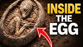 They Found a Dinosaur Baby Curled Inside an Egg&hellip;