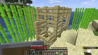 Minecraft 17: More land, Turtle Eggs, and Water Talk