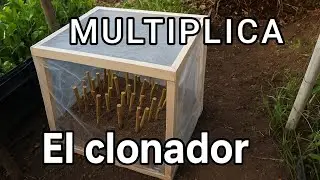 Homemade Clone Maker: The Machine to Duplicate Plants in Your Garden