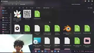 How to get Tomodachi Life on PC!