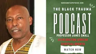 Black Trauma Podcast | Accelerating African Spiritual Growth - Professor James Small