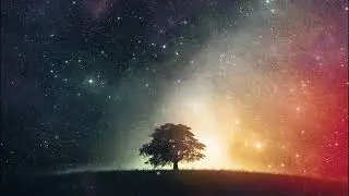 Midnight Signal Radio 🌙 1 Hour Late-Night Lo-Fi | Calm Beats for Night Thinkers