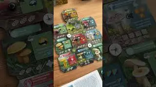 ТОП НАСТОЛКА Грибы и корни #настольныеигры