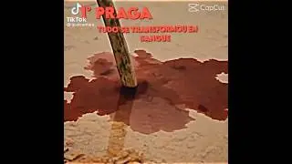as 10 Pragas do Egito (vey, &eacute; so eu q amo essa m&uacute;sica das 10 Pragas do Egito ??)