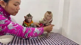 Oh no..!! Jasmine not listening to mom at all 