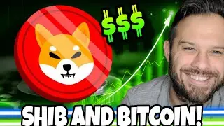 Shiba Inu Coin | February Could Be A Huge Month For SHIB And Bitcoin!