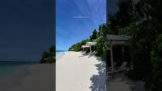 Peaceful Tropical Beach Walk 🌴✨ | Relaxing Ocean Sounds 🌊