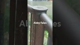 Abby fales vidoe