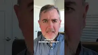 ЛУЧШИЕ 7 каналов Sound Doctrine &mdash; Джастин Питерс #шорты