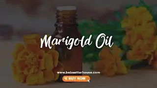 Marigold Essential Oil | Marigold Oil || Natural Oil || Baba Attar House || #oil