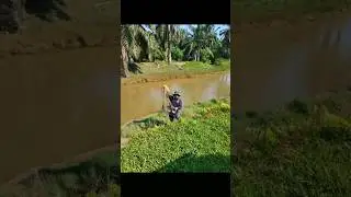 catch and cook #menjala ikan di sungai Kelanang Banting,balik terus masak kari