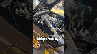 Whipple Supercharged Fox Body Mustang With Custom Peanut Butter Interior 😮&zwj;💨 #motormonday #foxbody